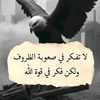 user5934158815950