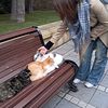 shahbazova_94