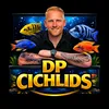 dp.cichlids
