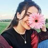 rayenmansouri835