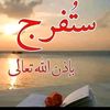 user62441358812702