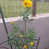 dioni.fragou