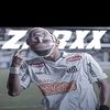 zarxx031