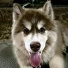 isabela30due1