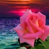 .user1917210630799
