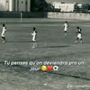 user8812536840199
