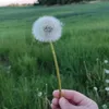 sandrasandr81
