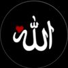 hasne1233