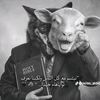 mohmedrezq_