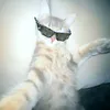 rqy_777
