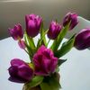 filip.filipo10