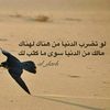 qr_204