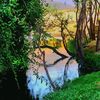 imarn.khan265