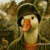 stevxn0077