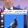 user966920868211