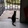 anamariagiraldo42