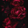 jackx_469