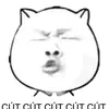 zzvminhzz