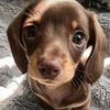 froggylovesu4