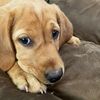 bracky.boy