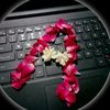 arain_arain95