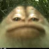 vald3zzz