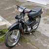 grand_bulus8