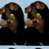 fckk1ngg