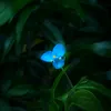 nghphuong_06