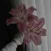 aliyeva_aa3