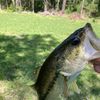 schiff.fishing