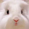 ﾕ ﾝ