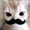 wi_wi_wi_hajoon2