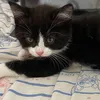 averyboredperson7