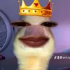 anh.lee44