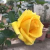 thuthunguyen57