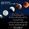 user8357113135206