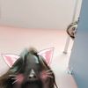 sararichards068