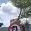 mufa.farida