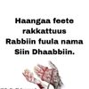 user4103929056804