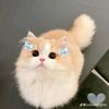 nazwa.adila7