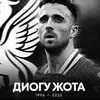 aliho0377