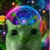 joypopcat