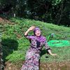 user61109303555277