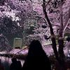 safa_290