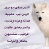 lonely.wolf845
