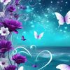 danabraithwaite31
