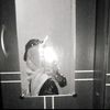 vinxaa6