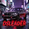 leader_dsie