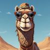 Camel film